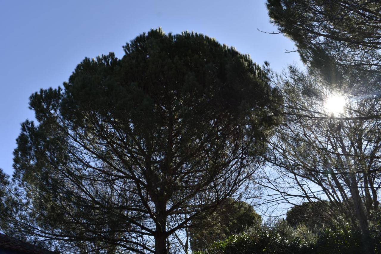 Vila La Casa De Lya Dudar Exteriér fotografie